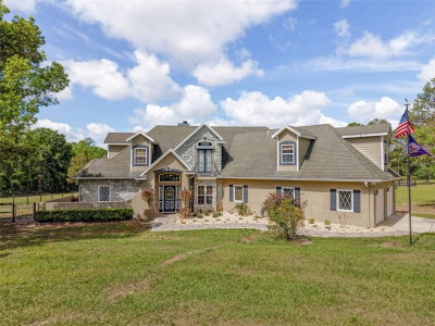 32640 BLUEBERRY HILL Way, Dade City, FL, 33523 — photo 2