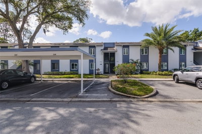 207 CYPRESS Lane, Oldsmar, FL, 34677 — photo 2