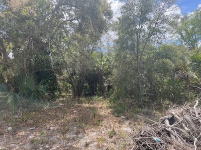 SCOTTISH Terrace, North Port, FL, 34288 — photo 2