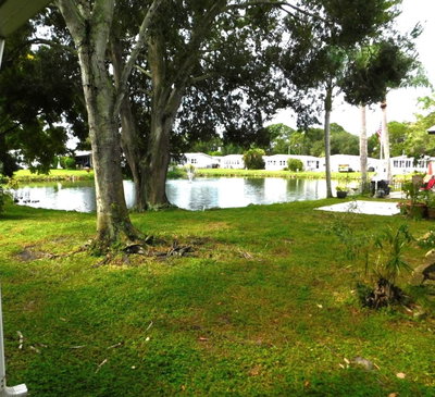 1001 STARKEY Road, Largo, FL, 33771 — photo 2