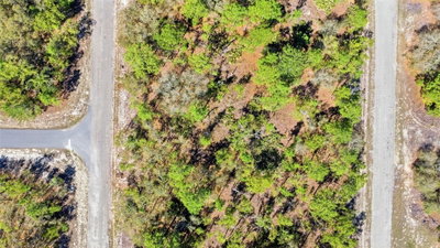 1877 PENDLETON Street, Dunnellon, FL, 34434 — photo 2