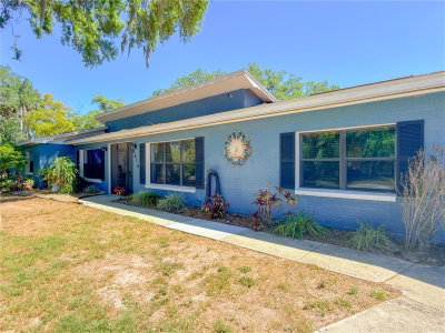 8818 MATHOG Road, Riverview, FL, 33578 — photo 2