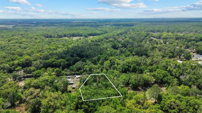 MUDDY WATER Trail, Thonotosassa, FL, 33592 — photo 2