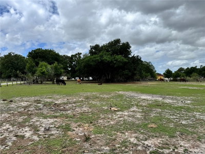 1804 ZIPPERER Road, Bradenton, FL, 34212 — photo 2