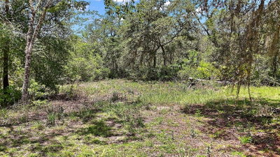 197TH Avenue, Ocklawaha, FL, 32179 — photo 2