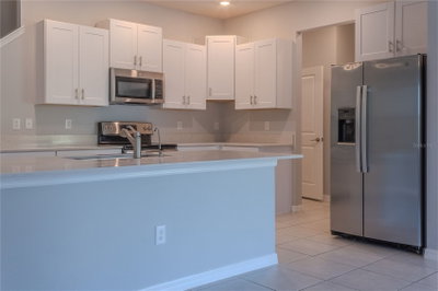 17711 NECTAR FLUME Drive, Land O Lakes, FL, 34638 — photo 2