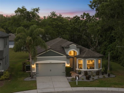 12417 CORALBEAN Court, New Port Richey, FL, 34654 — photo 2