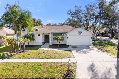 15101 REDVALE Drive, Tampa, FL, 33625 — photo 2