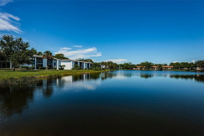 207 WOODLAKE WYNDE, Oldsmar, FL, 34677 — photo 2