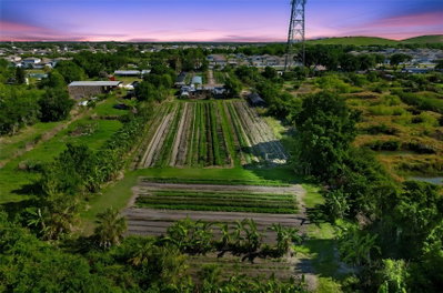 11101 SUMNER Road, Wimauma, FL, 33598 — photo 2