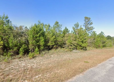 ZAMORA Avenue, Chipley, FL, 32428 — photo 2