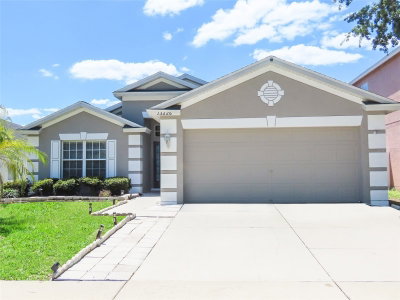 13226 EVENING SUNSET Lane, Riverview, FL, 33579 — photo 2