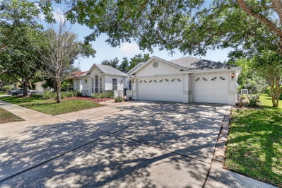 10206 SHADOW BRANCH Drive, Tampa, FL, 33647 — photo 2