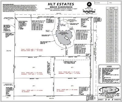 19084 RED BIRD Lane, Lithia, FL, 33547 — photo 2