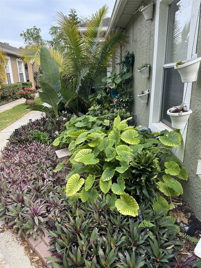 19113 DOVES LANDING Drive, Tampa, FL, 33647 — photo 2