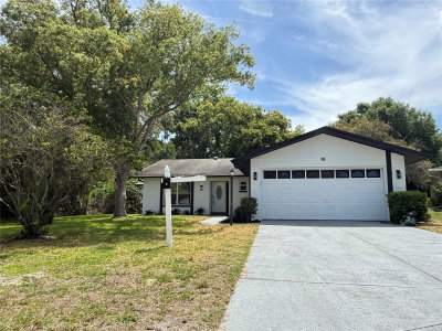 10501 HARDWOOD Court, Port Richey, FL, 34668 — photo 2