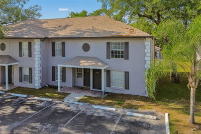 5156 SUNRIDGE PALMS Drive, Tampa, FL, 33617 — photo 2