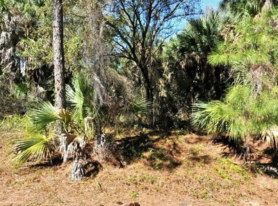 LOT 20 BLK 1749 34TH ADD TO PORT CHARLOT, North Port, FL, 34288 — photo 2