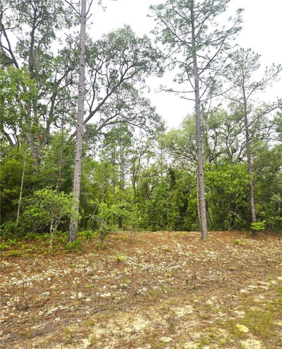576 NEMO Drive, Dunnellon, FL, 34434 — photo 2