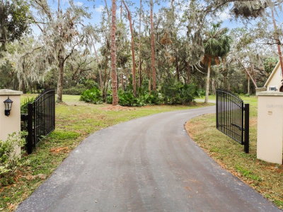 12709 MANNHURST OAK Lane, Lithia, FL, 33547 — photo 2
