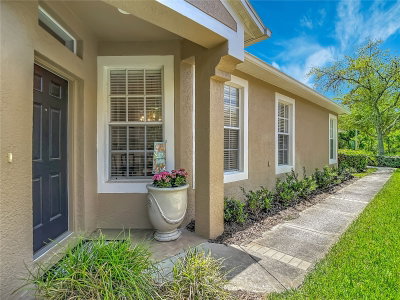 19180 LAKE AUDUBON Drive, Tampa, FL, 33647 — photo 2