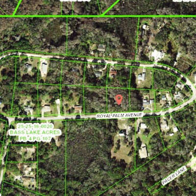 9805 ROYAL PALM Avenue, New Port Richey, FL, 34654 — photo 2