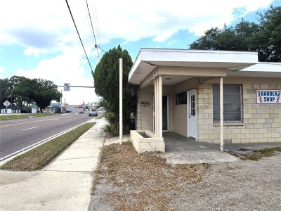 620 COLLINS Street, Plant City, FL, 33563 — photo 2