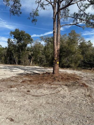 BERRYHILL Drive, Webster, FL, 33597 — photo 2