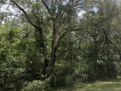 LAKE LINDSEY Road, Nobleton, FL, 34661 — photo 2