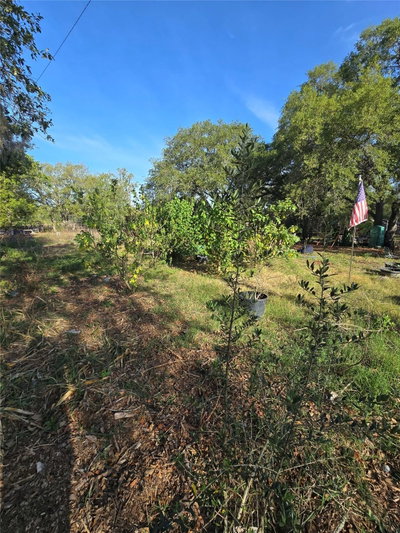 14515 GIDDYUP Lane, Hudson, FL, 34669 — photo 2