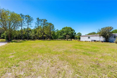 CHRIS DR., Wesley Chapel, FL, 33543 — photo 2