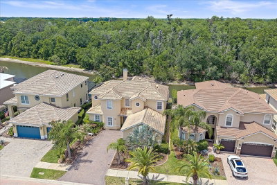 18046 COZUMEL ISLE Drive, Tampa, FL, 33647 — photo 2