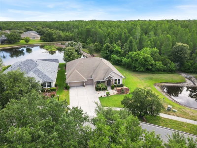 8434 WESTERLAND Drive, Land O Lakes, FL, 34637 — photo 2