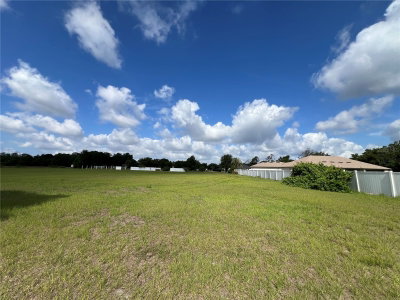 13419 COCOPAH Lane, Dover, FL, 33527 — photo 2
