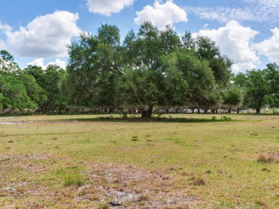 Thonotosassa, FL, 33592 — photo 2