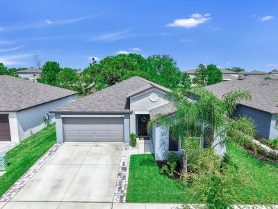 13256 GREAT PLAINS Drive, Riverview, FL, 33579 — photo 2