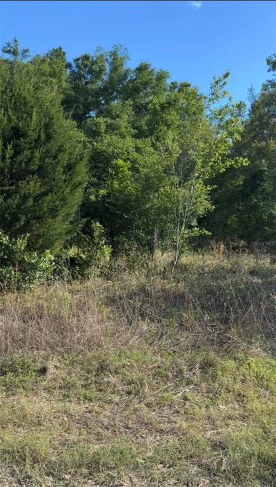 2405 WILSON ST Street, Inverness, FL, 34453 — photo 2
