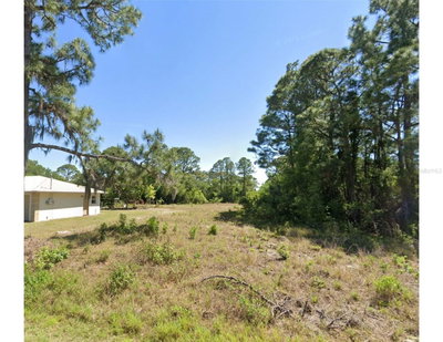 217 GLORIA Boulevard, Lake Placid, FL, 33852 — photo 2