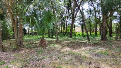 25050 ALGONQUIN Avenue, Mount Plymouth, FL, 32776 — photo 2
