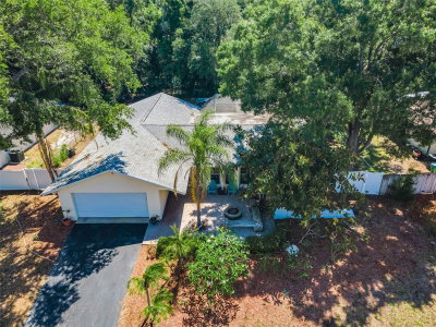 520 SANDY HOOK Road, Palm Harbor, FL, 34683 — photo 2