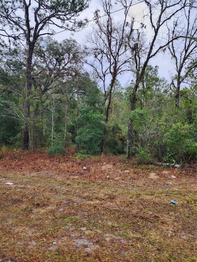 7360 DUNNELLON Road, Dunnellon, FL, 34433 — photo 2