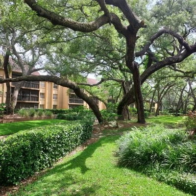 14111 MOSSY GLEN Lane, Tampa, FL, 33613 — photo 2