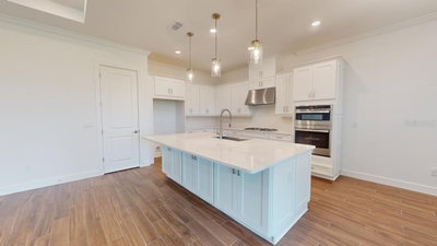 30175 IMPERATI Boulevard, Wesley Chapel, FL, 33543 — photo 2