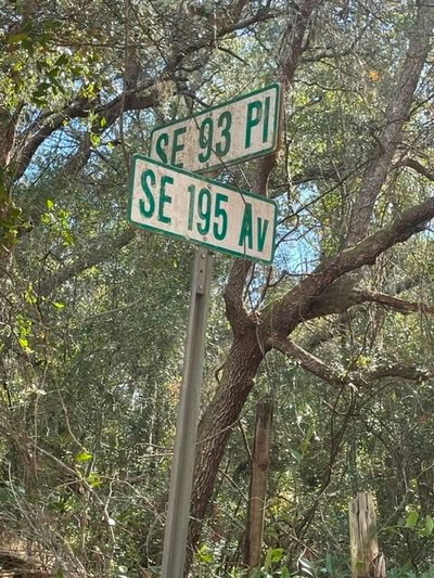 9345 195TH Avenue, Ocklawaha, FL, 32179 — photo 2