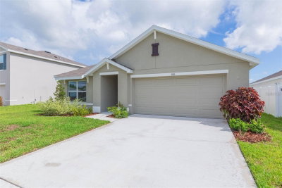 810 ACE OUTLAW Avenue, Ruskin, FL, 33570 — photo 2