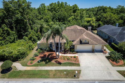 22754 MAGNOLIA TRACE Boulevard, Lutz, FL, 33549 — photo 2