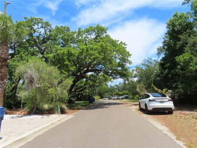MAYO, Crystal Beach, FL, 34681 — photo 2