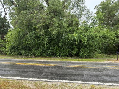 34184 RIDGE MANOR BLVD, Dade City, FL, 33523 — photo 2