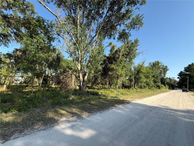 null OWENS Drive, Zephyrhills, FL, 33540 — photo 2