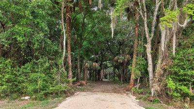 0 N US HWY 301, Citra, FL, 32113 — photo 2